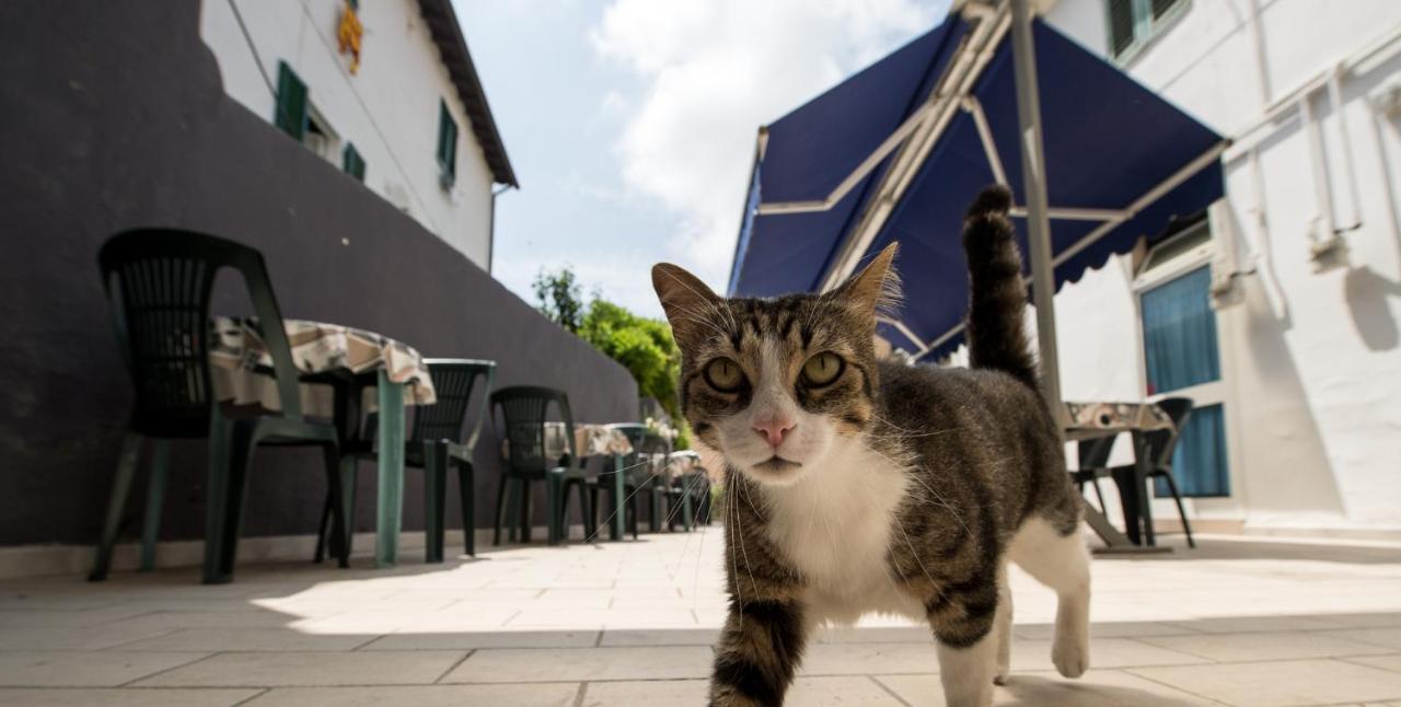 Hotel Terranova Pisa Eksteriør bilde